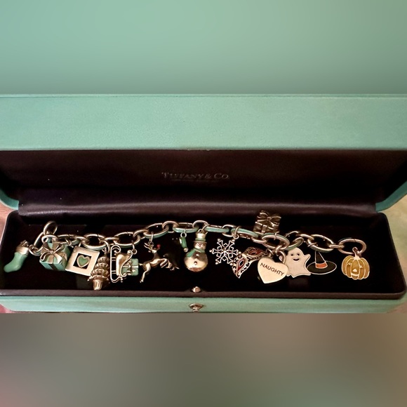 NFS! Showing my Tiffany Charms collection. - Picture 5 of 6